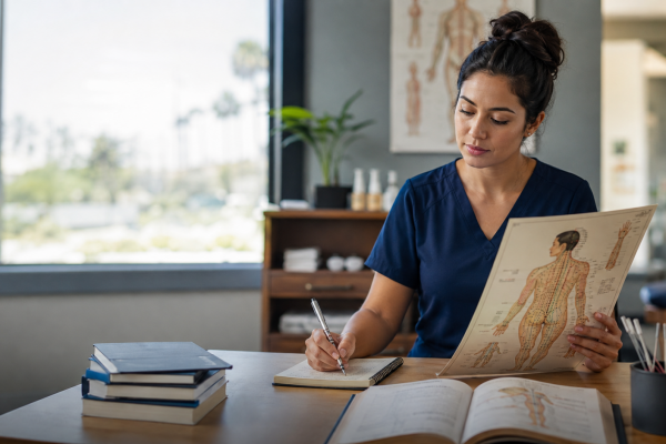 Acupuncture student studying a meridian chart while preparing for California licensure
